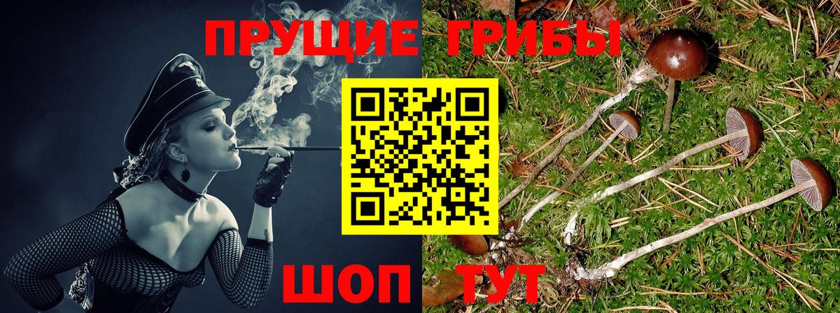 Галлюциногенные грибы Magic Shrooms Протвино